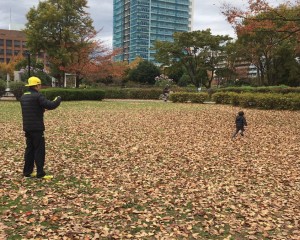 公園で遊ぶ親子